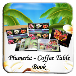 plumeria coffe table book